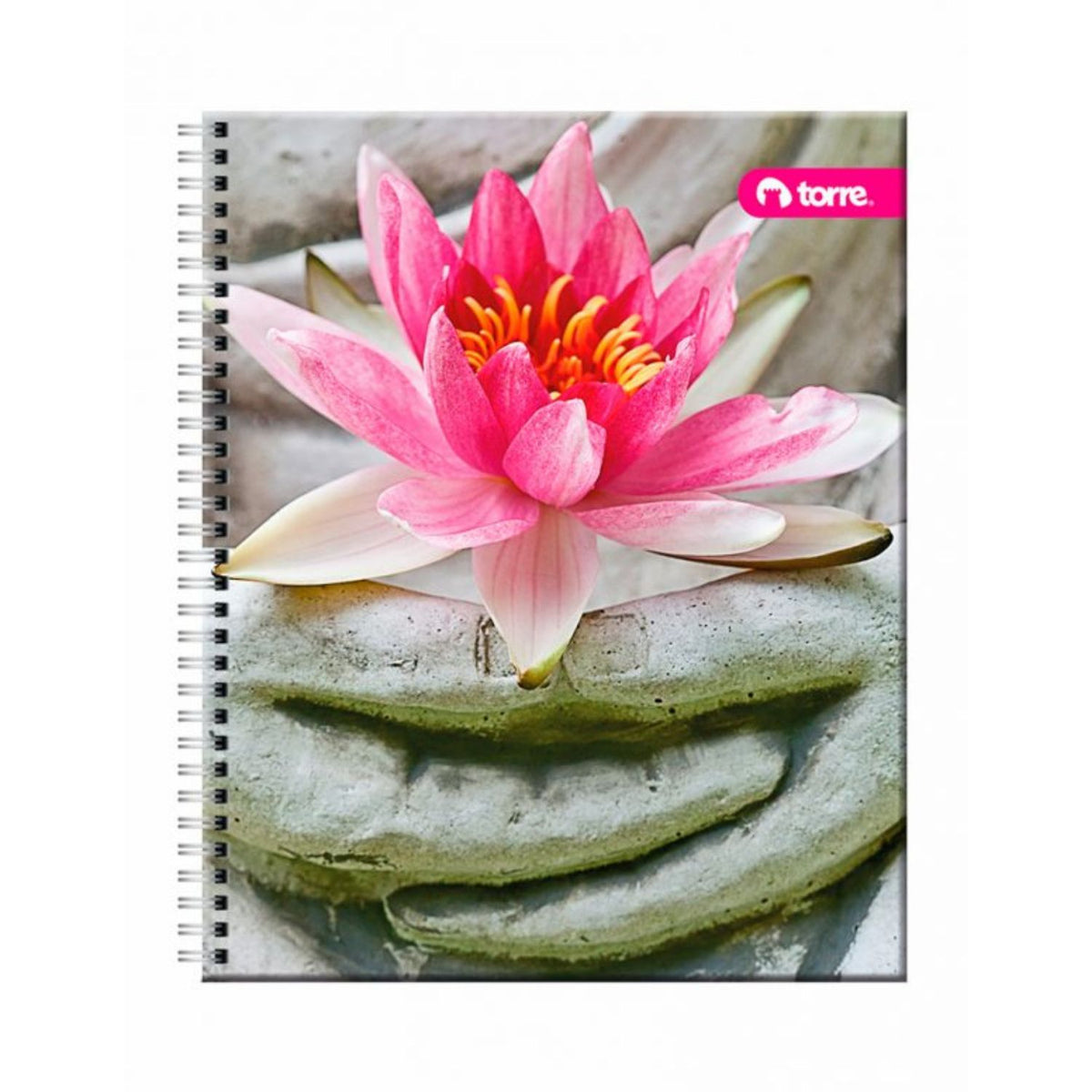 Pack 10 Cuadernos Torre Clásico Universitario 100 hojas