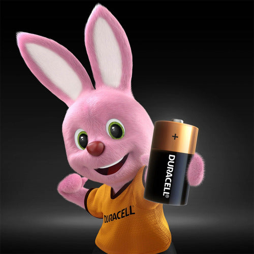 Pila Alcalina Duracell Blíster C X2