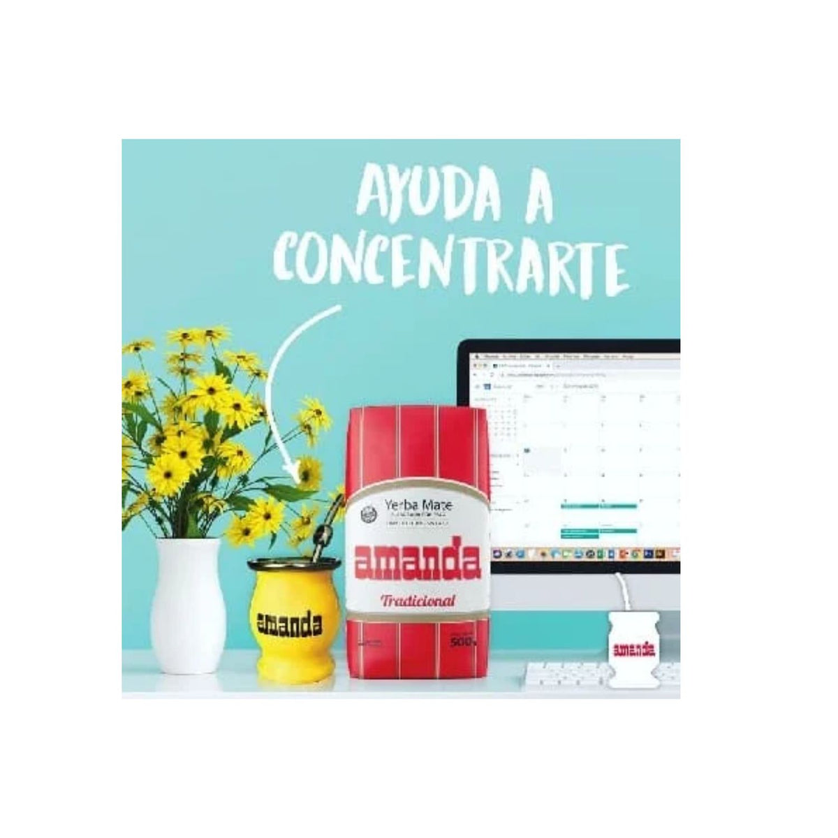 Pack 10 Yerba Mate Amanda Tradicional 500gr