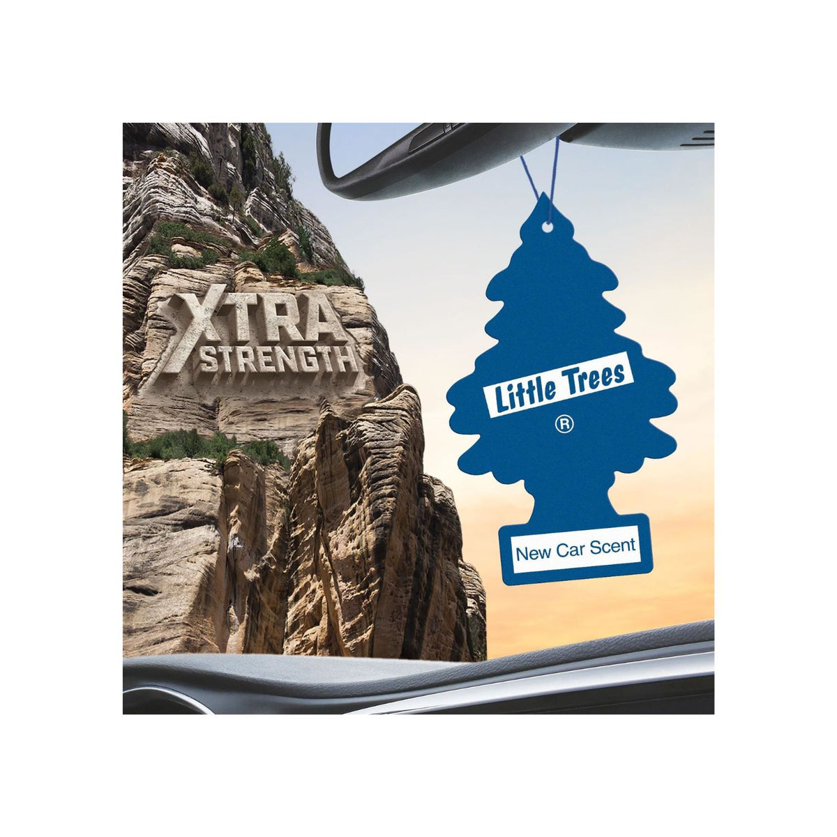 Pack 24 Pinos Aromáticos Little Trees Aroma Auto Nuevo