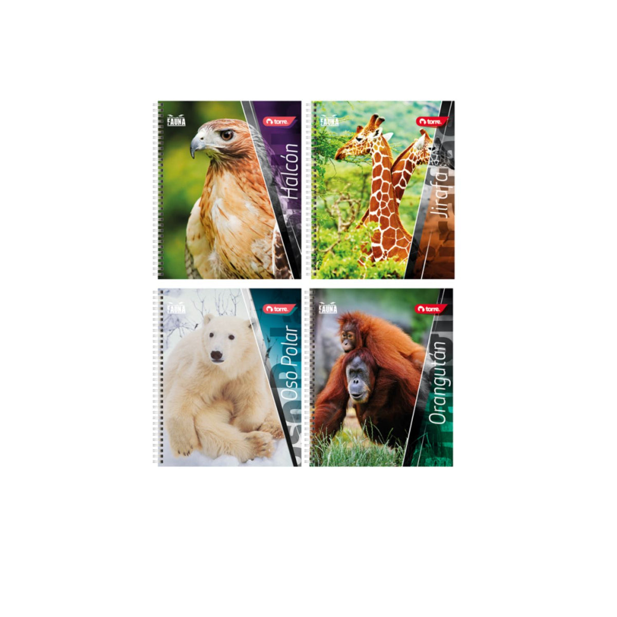 Pack 10 Cuadernos Universitarios Torre Fauna 100 hojas