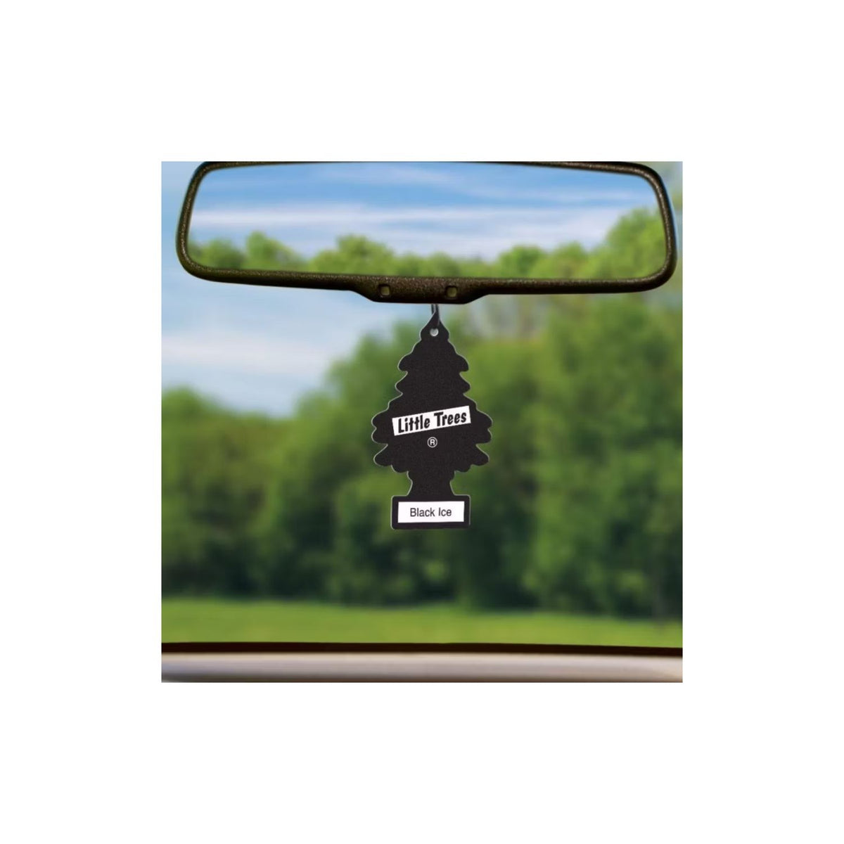 Pack 24 Pinos Aromáticos Little Trees Aroma Black ice