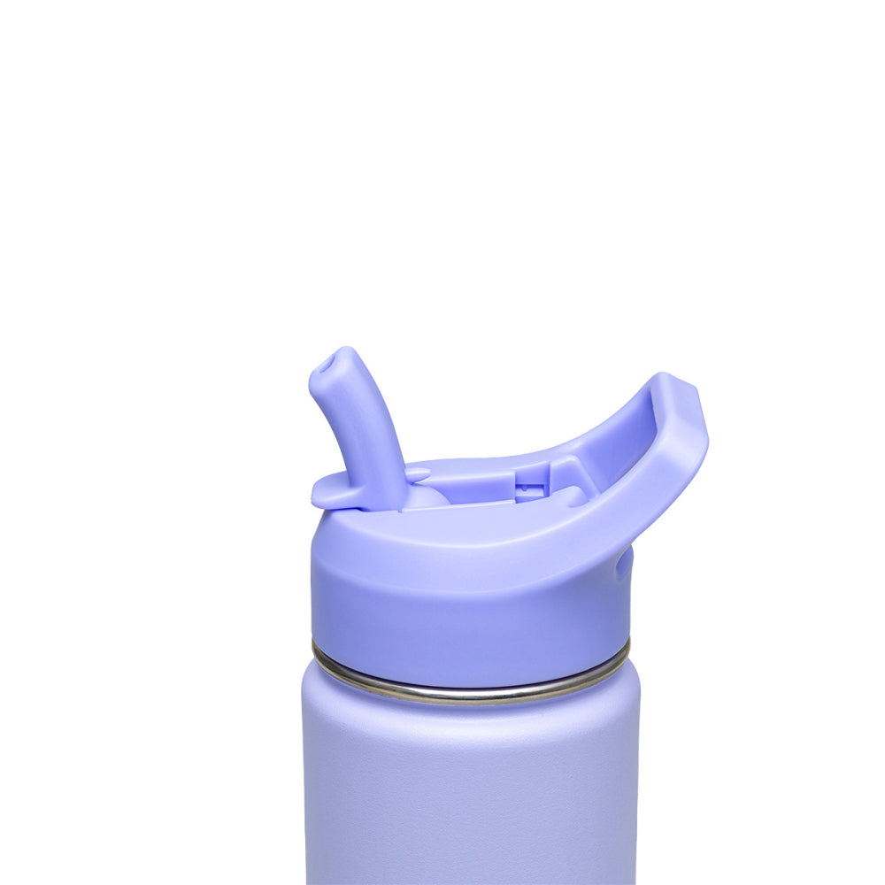 Botella Térmica Tramontina 650ml Morado