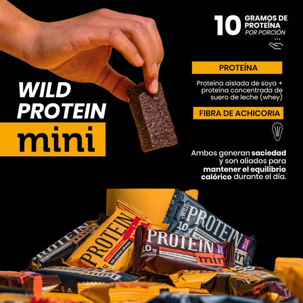 Barra Mini Chocolate Wild Protein 30gx24ud