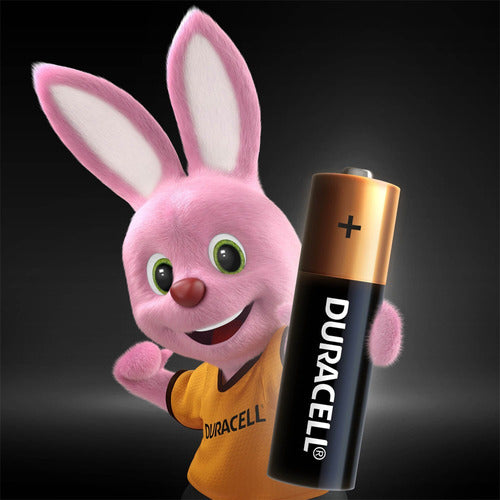Pack 48 Pilas Alcalinas Duracell Aa