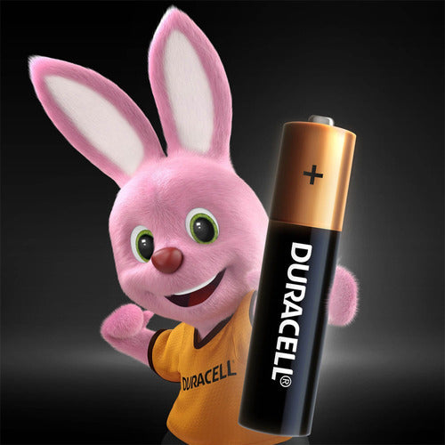 Pila Alcalina Duracell Aaa X24