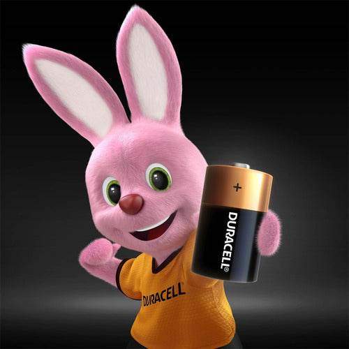 Pila Alcalina Duracell Blíster D X2