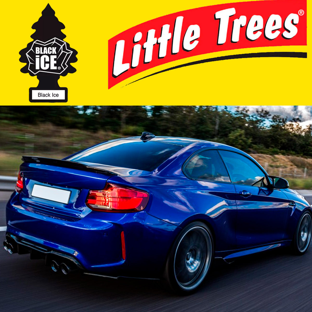 Pack 24 Pinos Aromáticos Little Trees Aroma Black ice