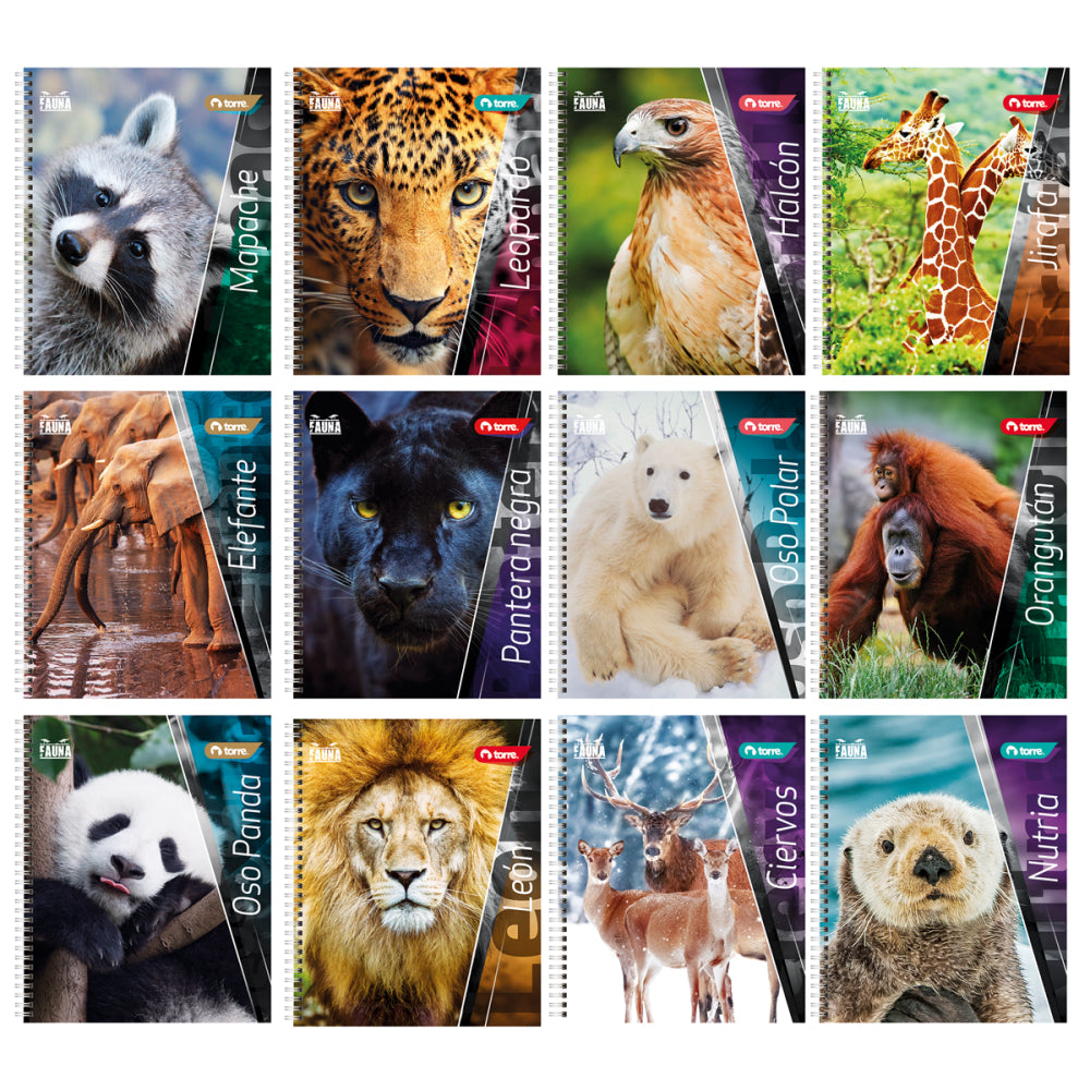 Pack 10 Cuadernos Universitarios Torre Fauna 100 hojas
