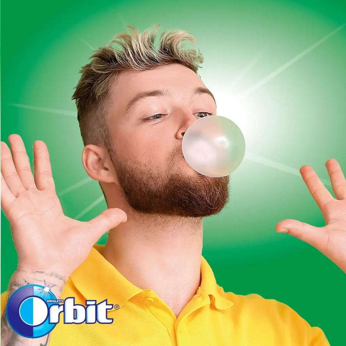 Chicle Orbit Sin Azúcar Professional Hierbabuena 6x64 gr