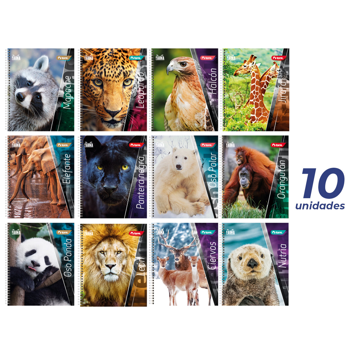 Pack 10 Cuadernos Universitarios Torre Fauna 100 hojas